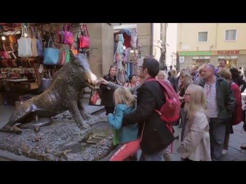 Video realizado por la propiedad