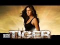 Tiger Zinda Hai: Katrina Kaif's Daring Avatar REVEALED