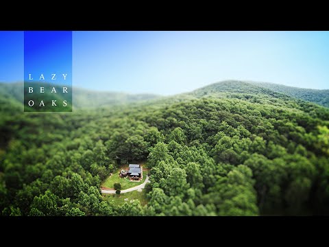 Property video