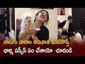 Actress Charmy Kaur pets show affection towards her