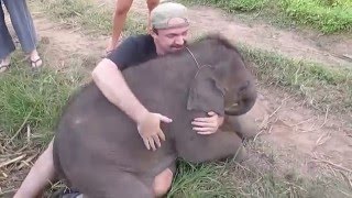 愛擁抱的小象