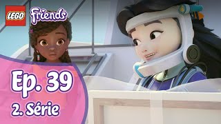 Lego Friends 2x39