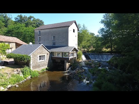 Property video