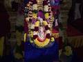 కోటి దీపోత్సవ ప్రాంగణంలో బల్కంపేట ఎల్లమ్మ దర్శనం 🙏🕉️ #balkampetyellamma #kotideepotsavam #bhakthitv