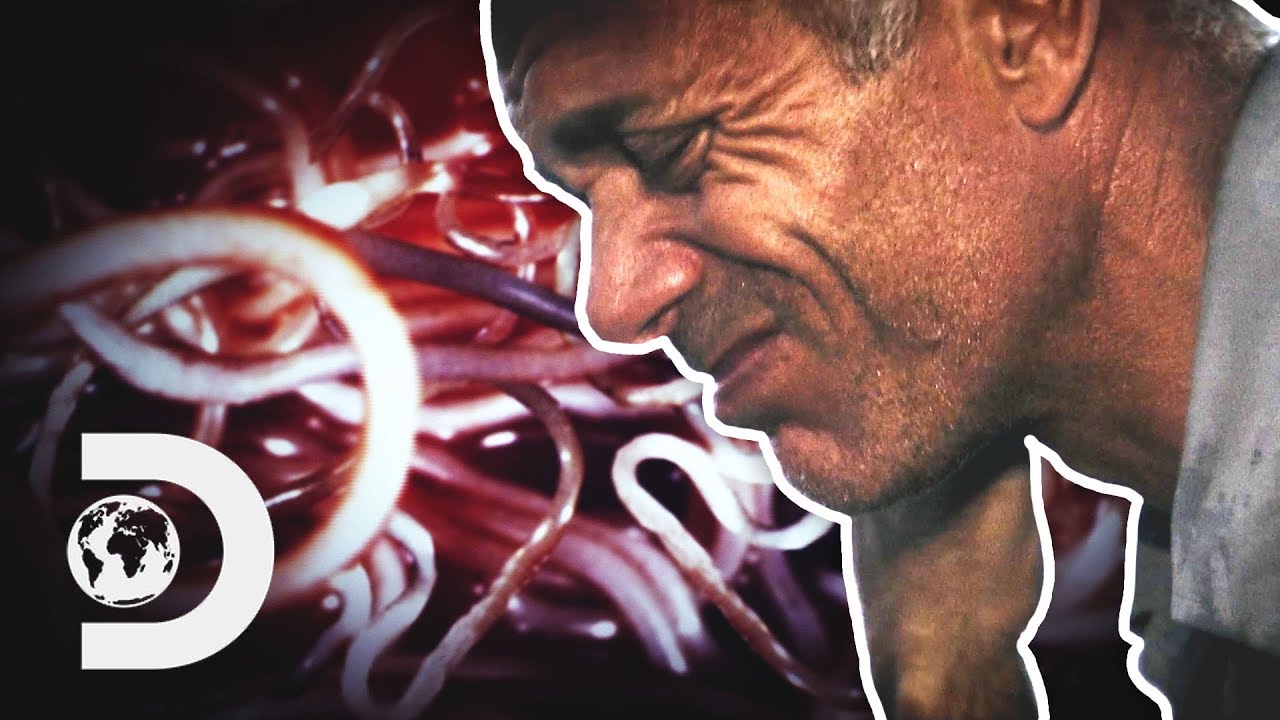 "A Ruthless Killer Is Living Inside Me" | River Monsters