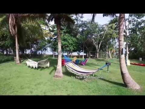 Property video