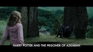 Hermione Punches Malfoy