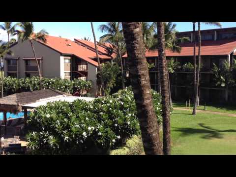 Property video