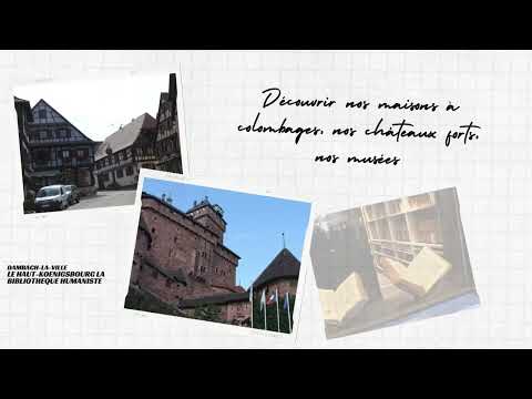 Property video