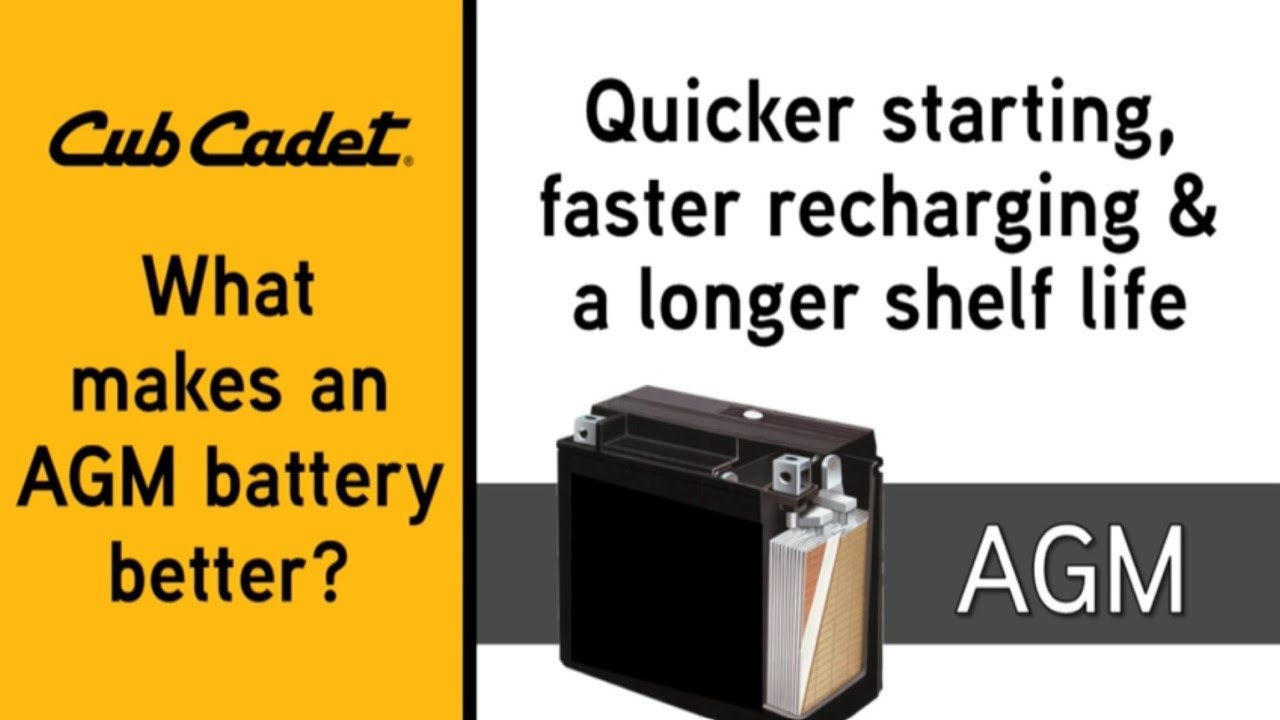 Black & Decker 12V 210 CCA Absorbent Glass Mat Replacement Battery, Fits  Cub Cadet and Troy-Bilt at Tractor Supply Co.