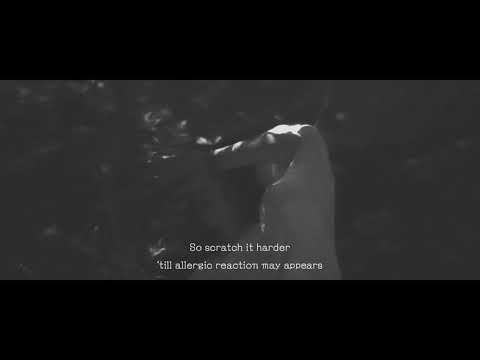 鳴ル銅鑼 / 絡繰 (Official Music Video) Narudora / Karakuri