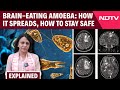 Kerala Ameoba Cases | Kerala Reports 19 Deaths from Brain-Eating Amoeba: How It Spreads -Explained