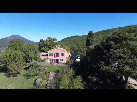 Video realizado por la propiedad