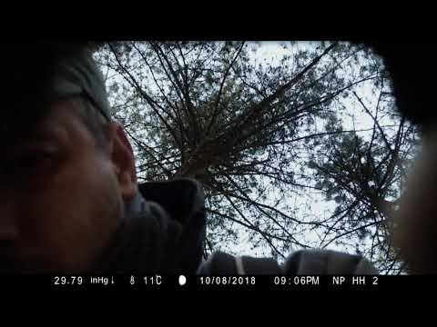 Naya - Der Wald Hat Tausend Augen'