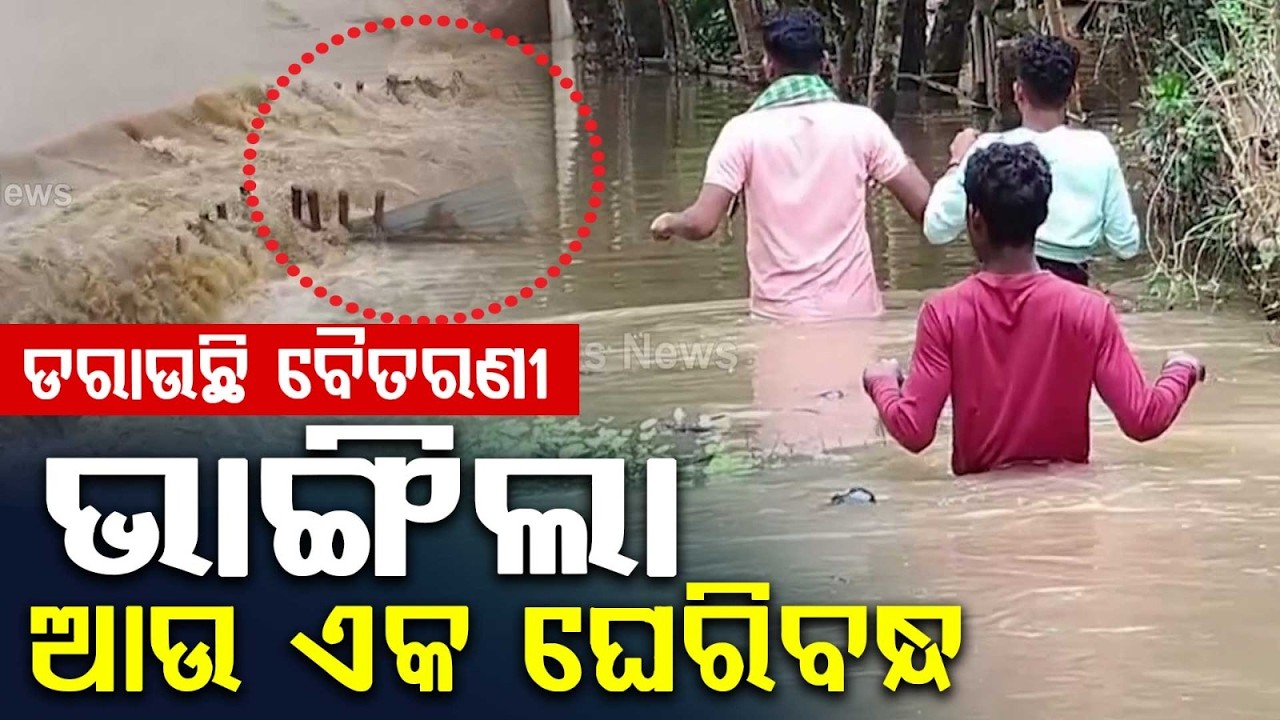 Double Flood Terror: Breach In Baitarani & Brahmani Rivers Submerge Jajpur | Argus News