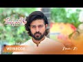 MEGHASANDESAM | పెళ్లి ఆగిపోతుందా? గగన్ నిర్ణయం?