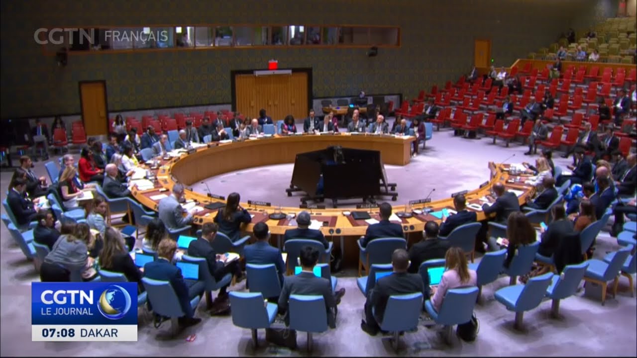 Le Conseil de sécurité des Nations Unies se penche sur la situation à Gaza
