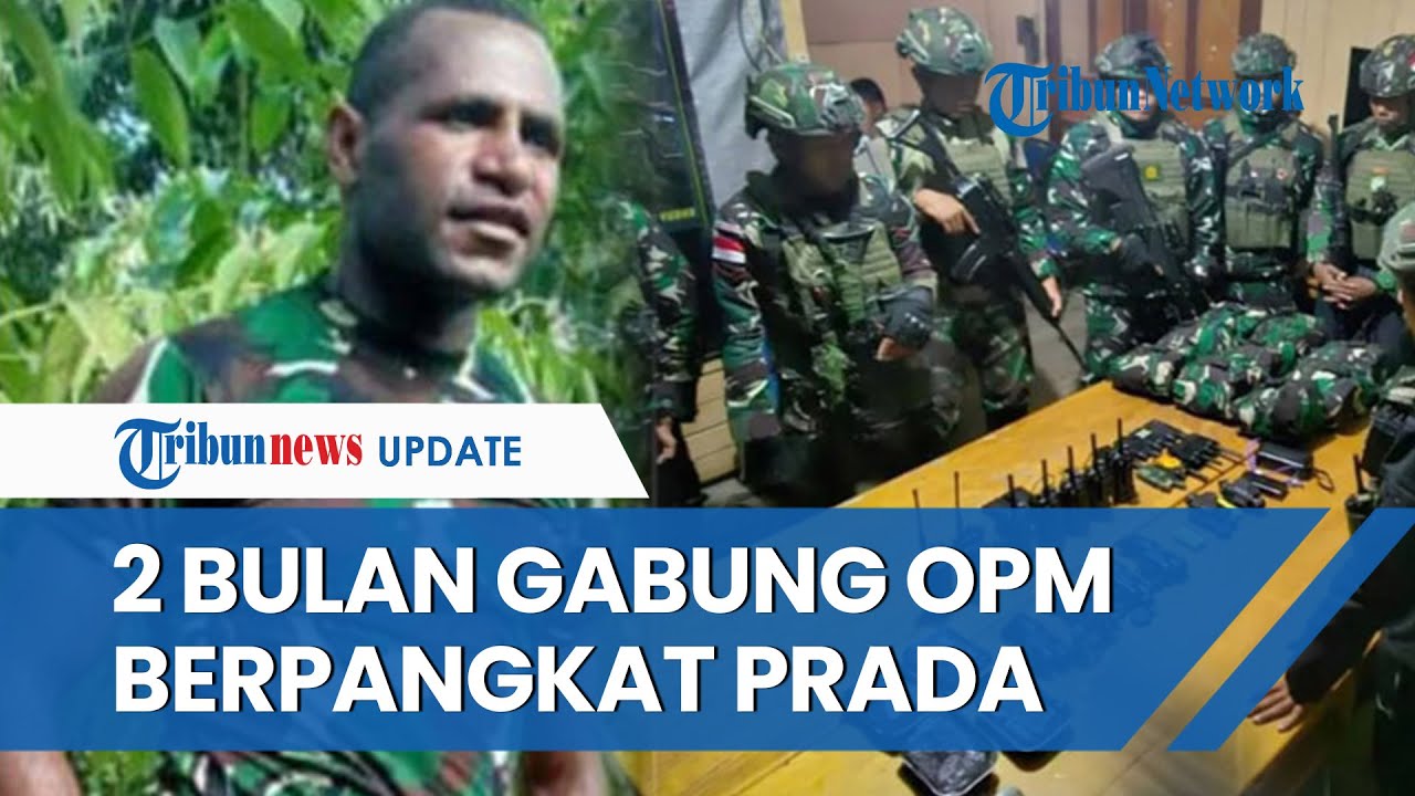Sosok Danis Murib, Oknum TNI yang Membelot Jadi OPM Ditembak Mati, Tinggalkan Tugas 2 Bulan