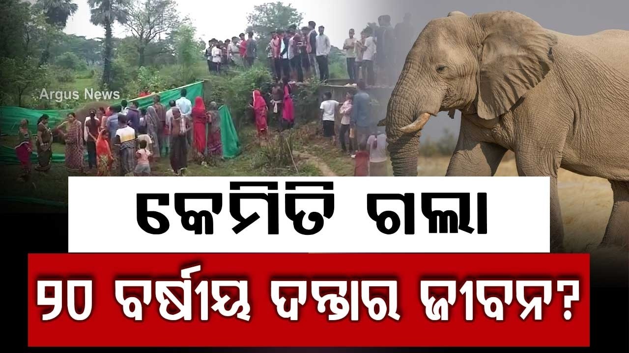 Tusker Found Dead In Dhenkanal Hindol Forest Range | Elephant Death Investigation | Argus News
