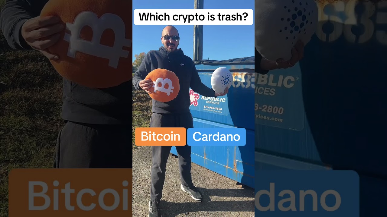 Bitcoin or Cardano BETTER?
