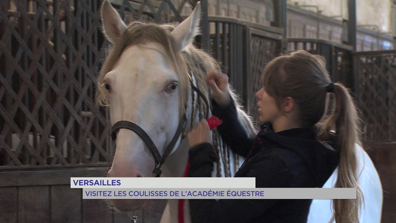 Versailles : Visitez les coulisses de l’Académie Equestre