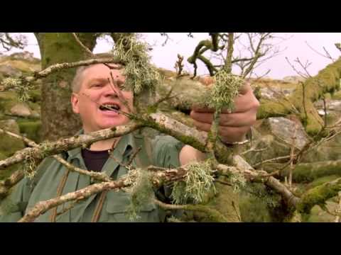 wilderness walks with ray mears Dartmoor