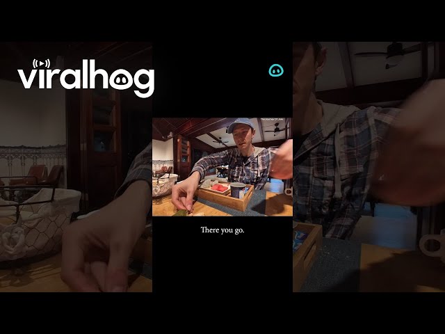 Vlogger Shares Breakfast With Little Bird || ViralHog Shorts