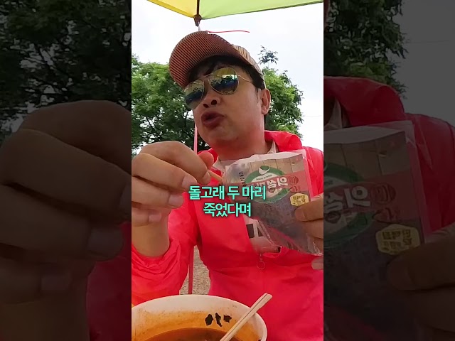 이중 진실은 몇 개일까요? #shorts