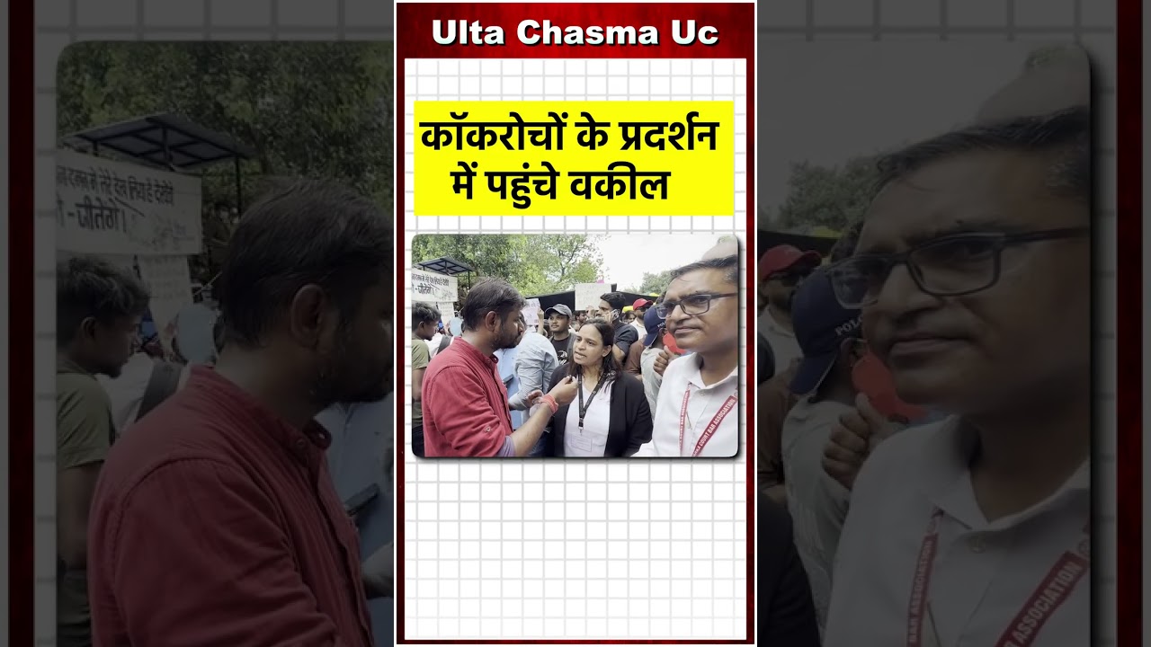 कॉकरोचों के प्रदर्शन में पहुंचे वकील