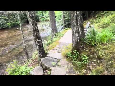 Property video