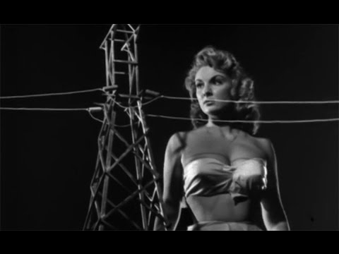 Attack of the 50 Foot Woman'