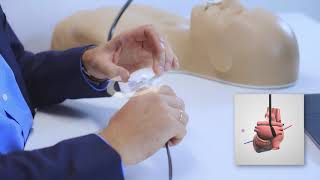 MrTEEmothy&reg; Standard Simulator f&uuml;r trans&ouml;sophageale Echokardiographie, 1022128, Echokardiographie (Video)