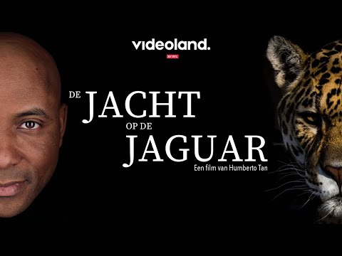 De Jacht Op De Jaguar'