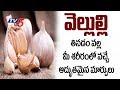 Veda Vaidhyam: Benefits &amp; medicinal uses of garlic