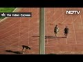 Stadium में कुत्ते को सैर कराने वाले IAS Sanjeev Khirwar का लद्दाख तो पत्नी का अरुणाचल ट्रांसफर