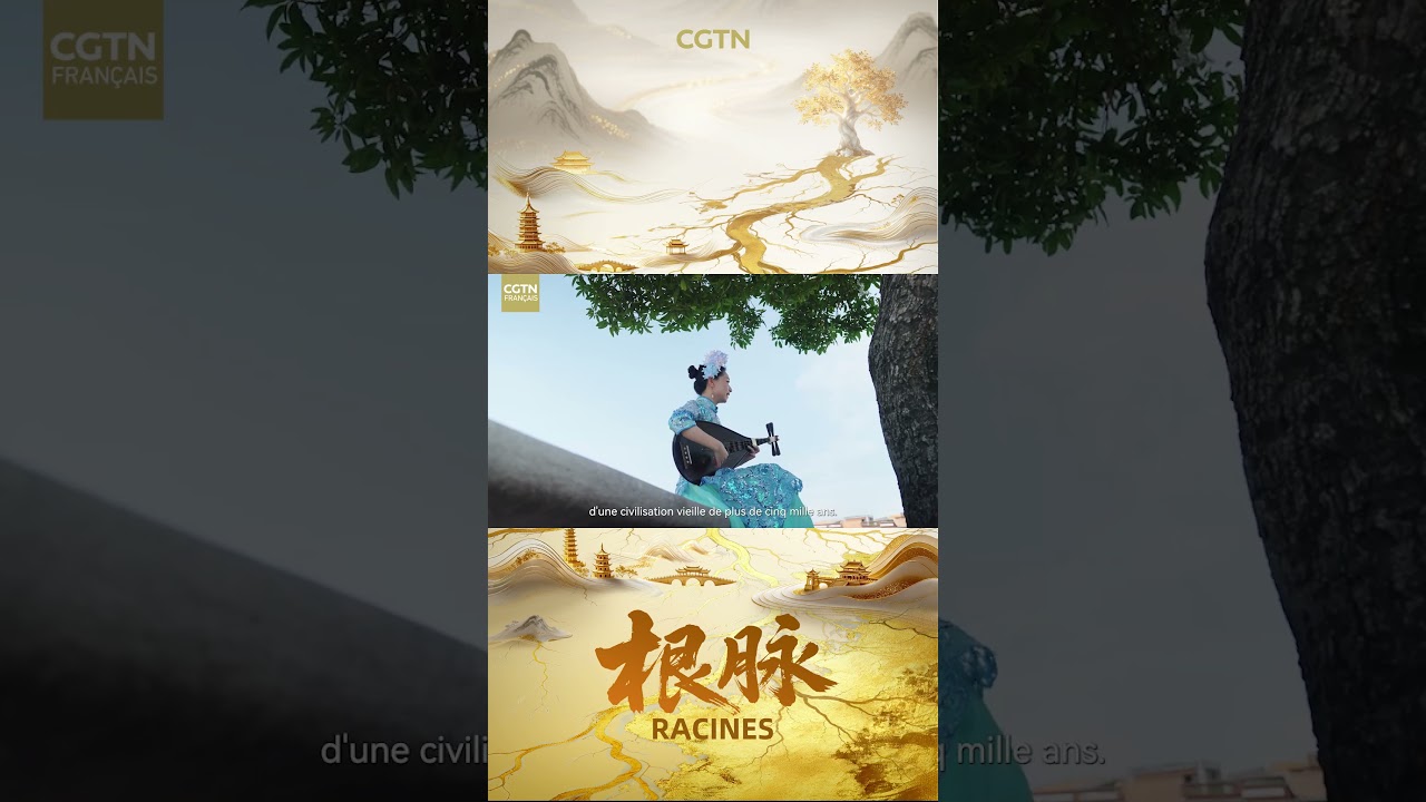 🎬 « Racines » - l'écho des origines