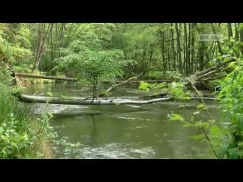 Znowu sa wakacje Damnica