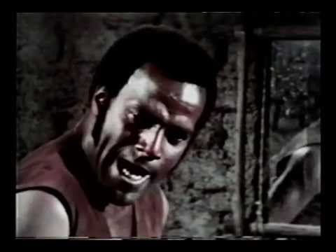 The Soul of Nigger Charley'