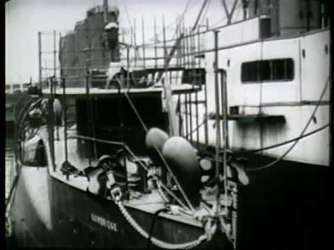 Greyhounds of the Sea'