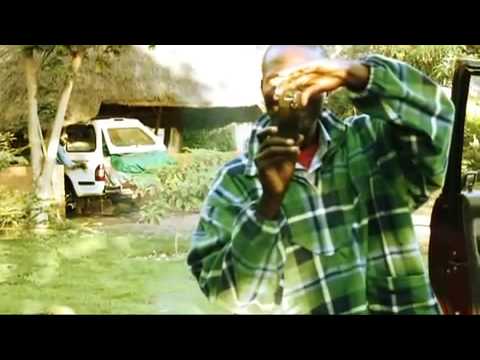Mugabe and the White African'