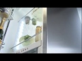 Холодильники Liebherr Biofresh