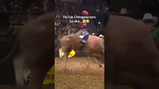Our bulls think theyre certified chiropractors pbr teamseries bull chiropractor