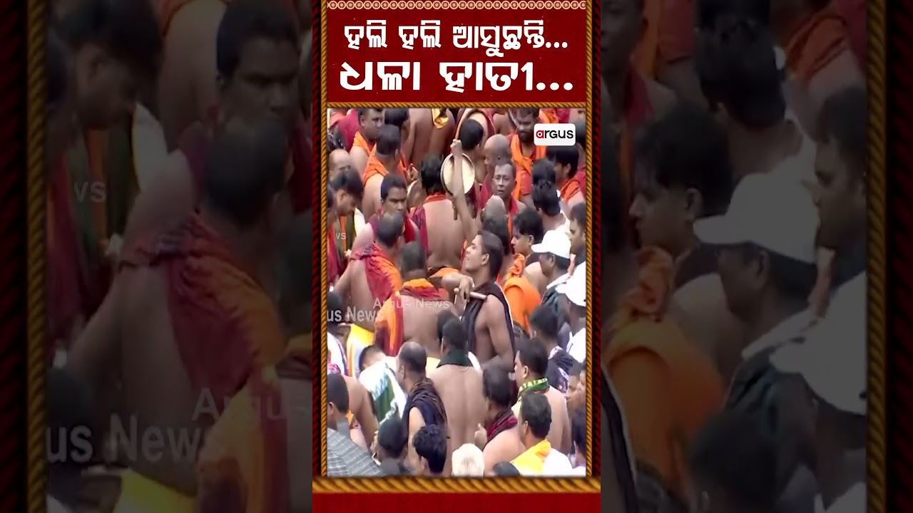 ହଲି ହଲି ଆସୁଛନ୍ତି ଧଳା ହାତୀ | RathaYatra 2026 | Puri | Argus Reels | LordBalabhadra | DhalaHati
