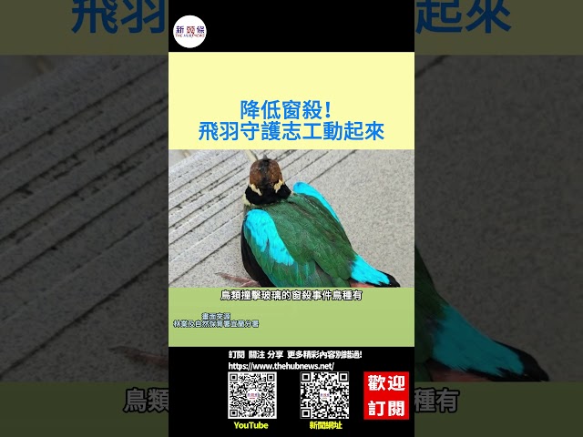 影音/降低窗殺！ 飛羽守護志工動起來