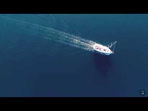 Video struttura