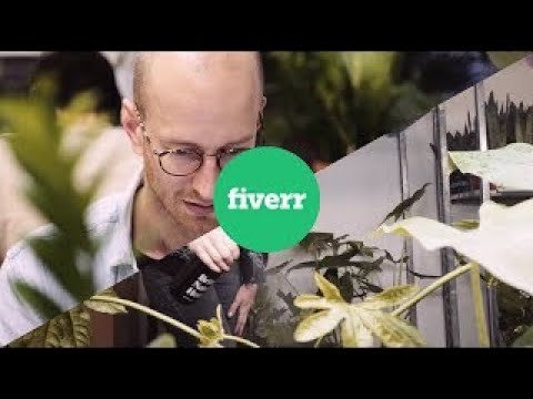 video Fiverr