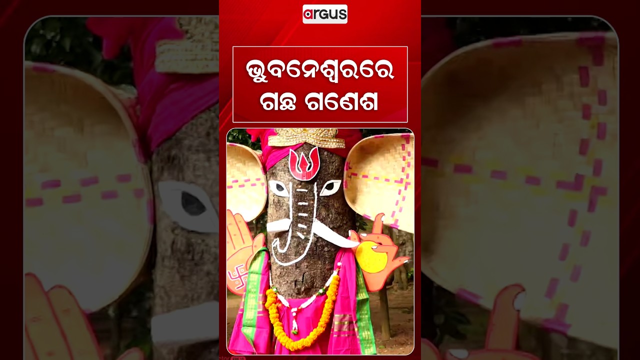 Unique Eco-Friendly 'Gacha Ganesha' In Bhubaneswar Spreads Green Message | Argus News