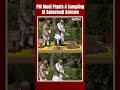 PM Modi Plants A Sapling At Sabarmati Ashram In Ahmedabad  - 00:30 min - News - Video