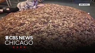 Maine man pays $20,000 fine in coins