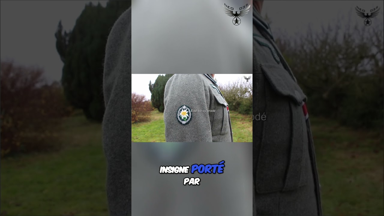 Uniformes Feldbluse M36 : insignes et grades expliqués #shorts